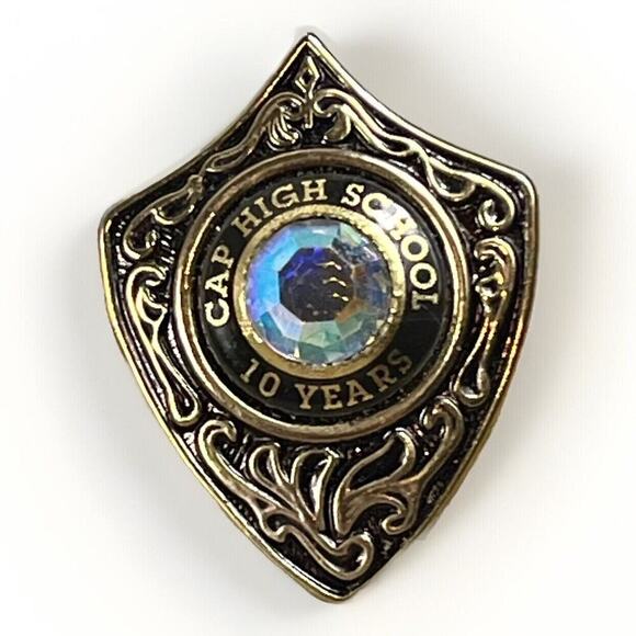 CAP HIGH SCHOOL Pin 10 Year Anniversary Faceted Stone Brooch Sheild Scroll Pin - Picture 4 of 7